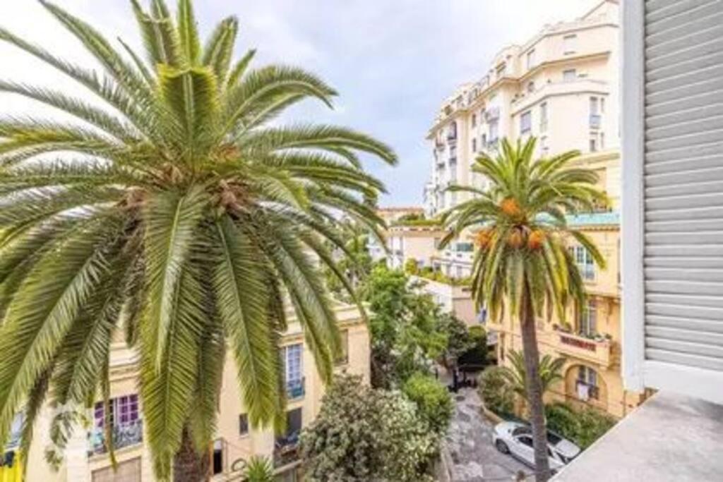 Bright, Newly Renovated Appartamento